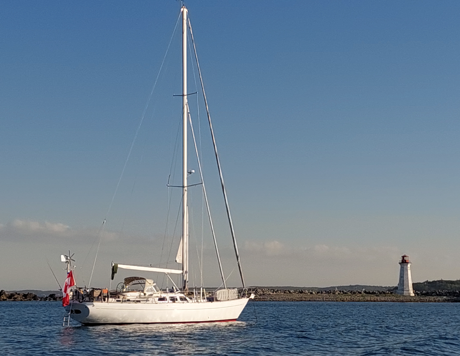 Sable Island wild horses in their natural habitat