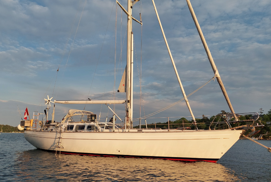 Sable Island wild horses in their natural habitat