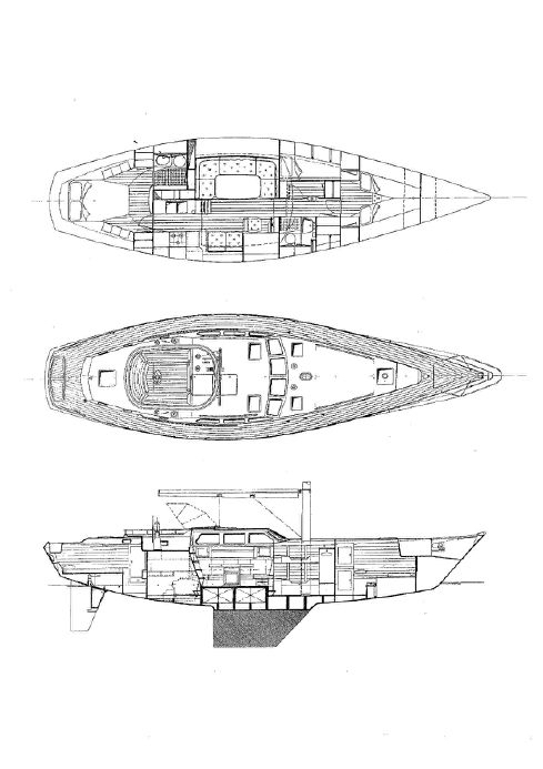 Sable Island wild horses in their natural habitat
