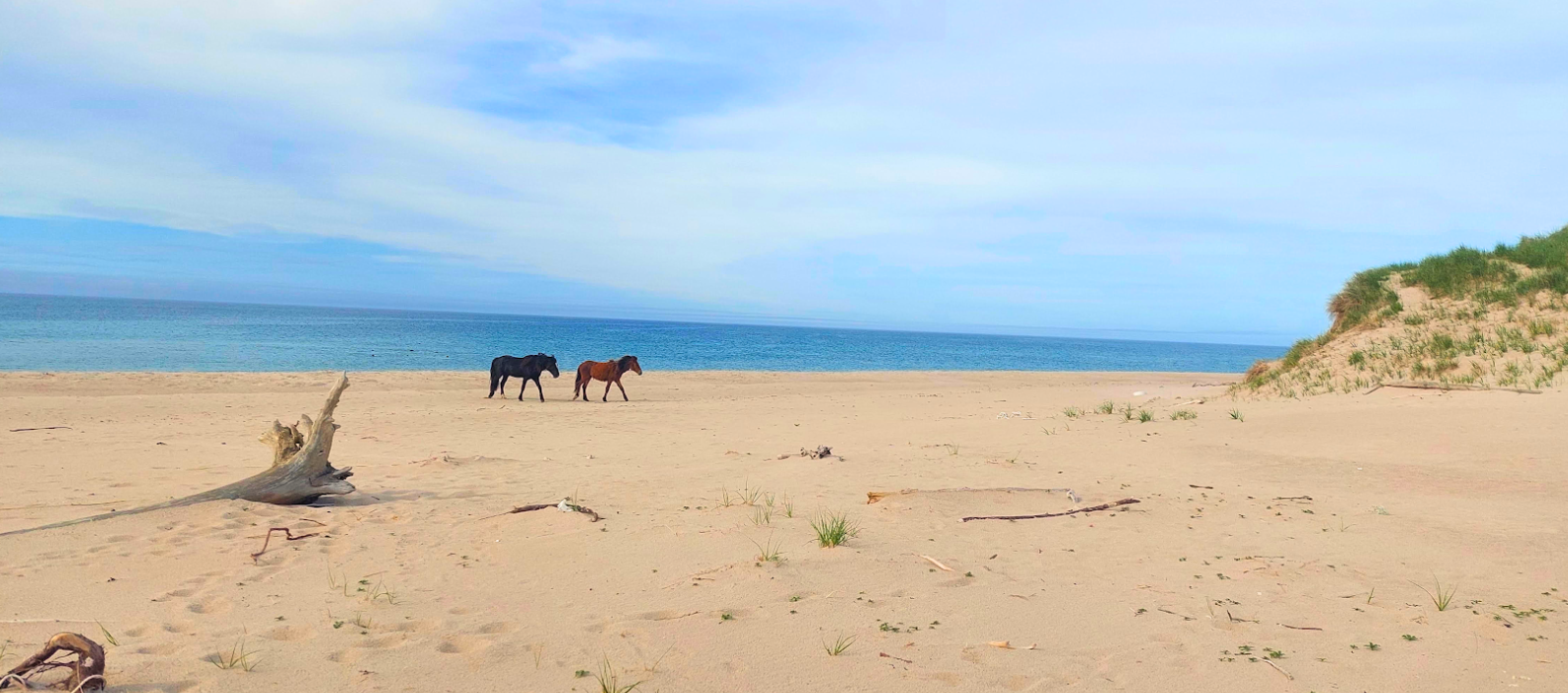 Sailboat on the ocean at sunrise