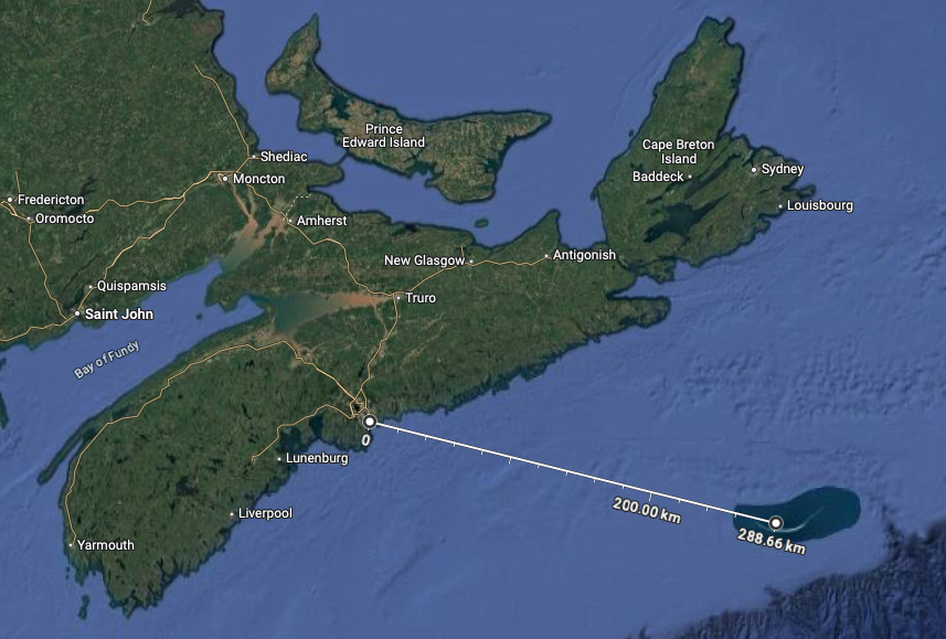 Sable Island wild horses in their natural habitat