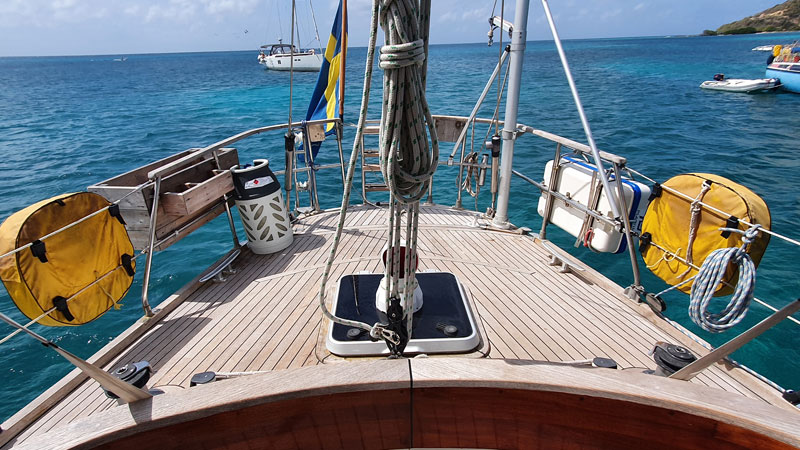 Sable Island wild horses in their natural habitat