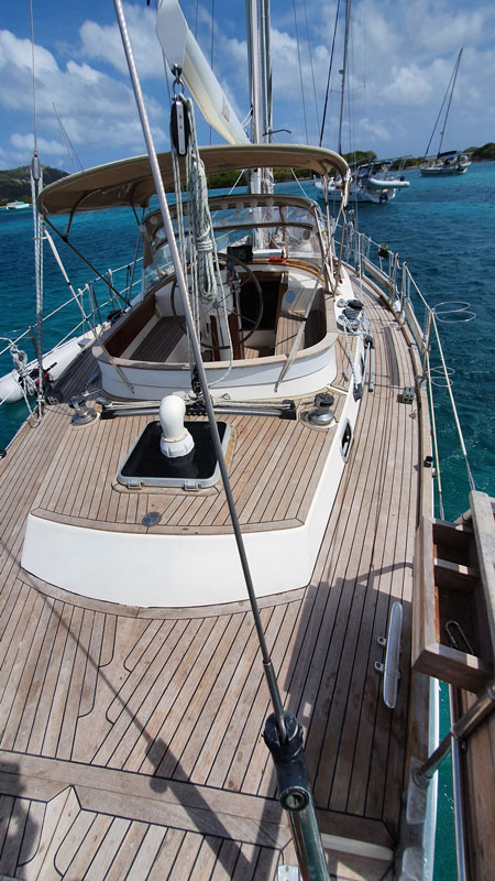 Sable Island wild horses in their natural habitat