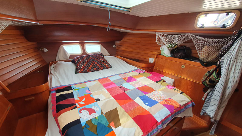 Sable Island wild horses in their natural habitat