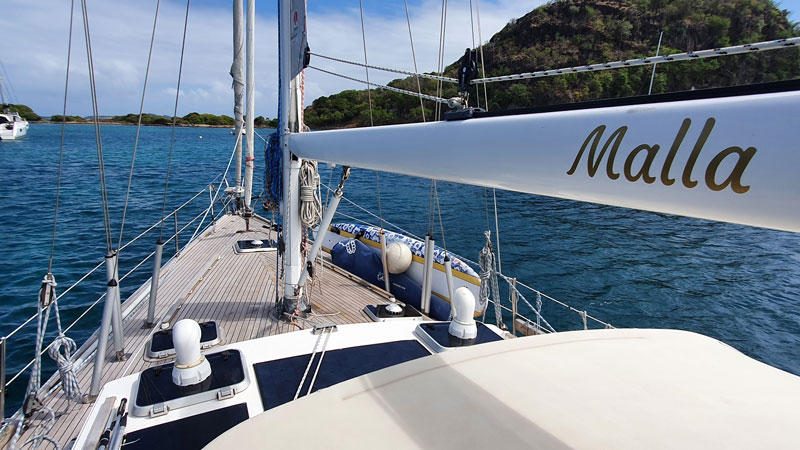 Sable Island wild horses in their natural habitat