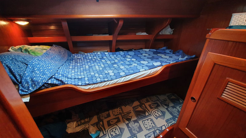 Sable Island wild horses in their natural habitat