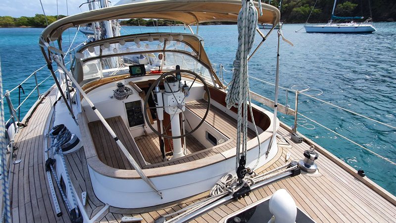 Sable Island wild horses in their natural habitat