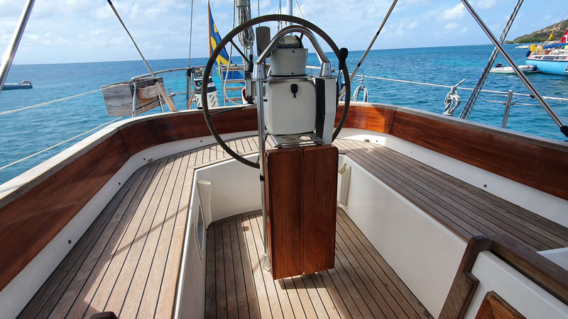 Sable Island wild horses in their natural habitat