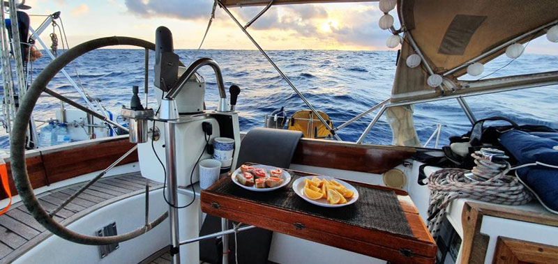 Sable Island wild horses in their natural habitat