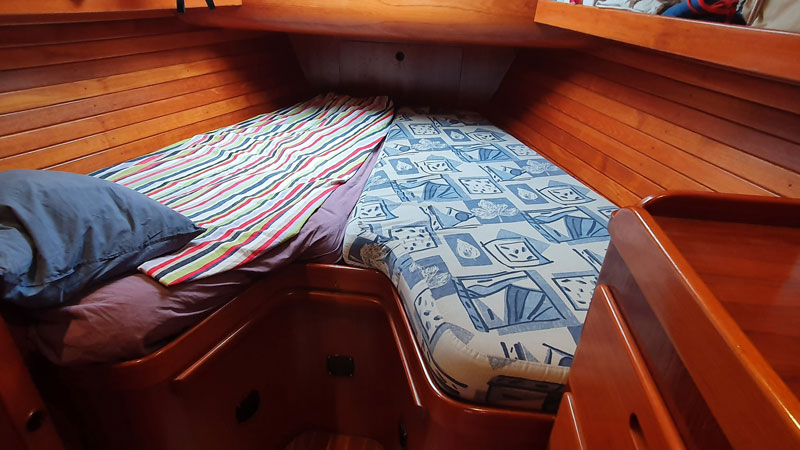 Sable Island wild horses in their natural habitat