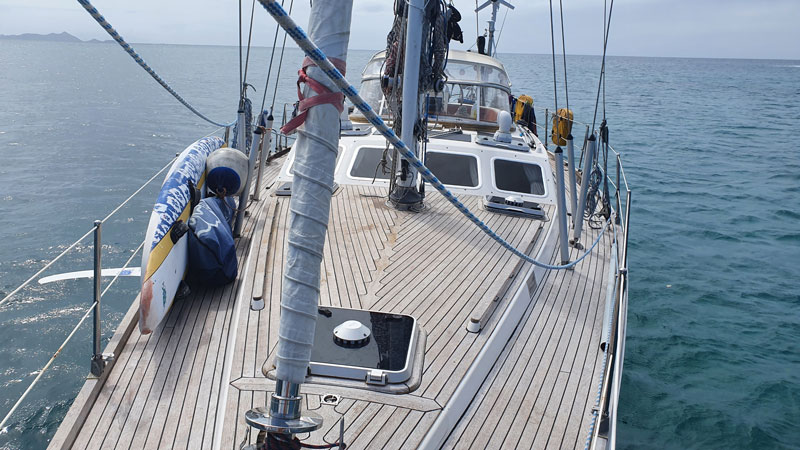 Sable Island wild horses in their natural habitat