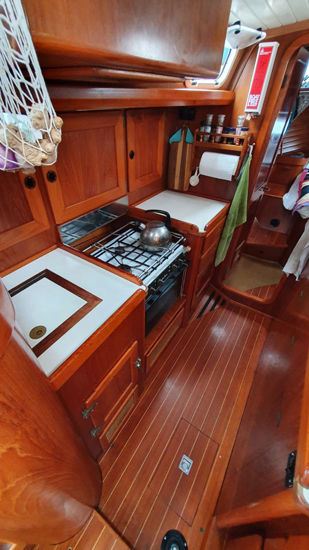 Sable Island wild horses in their natural habitat